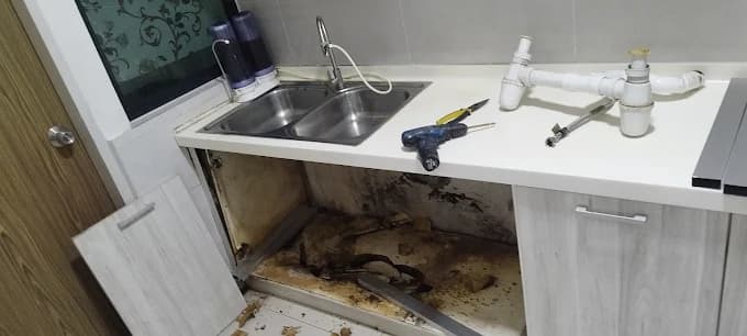 Kitchen Sink Leakage Repair
