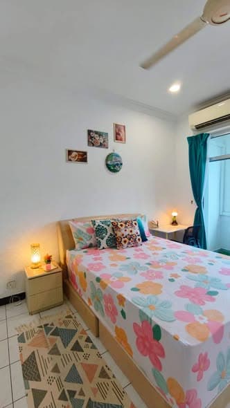 Complete Property Renovation